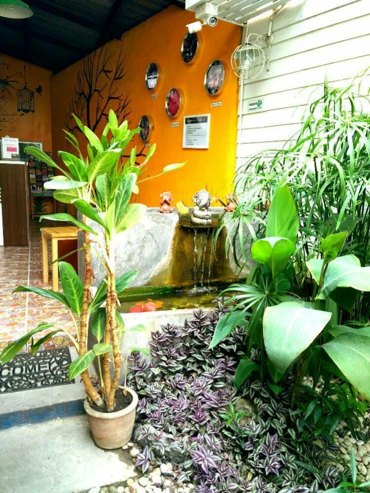 Yin Yang Guesthouse Čiang Mai Exteriér fotografie